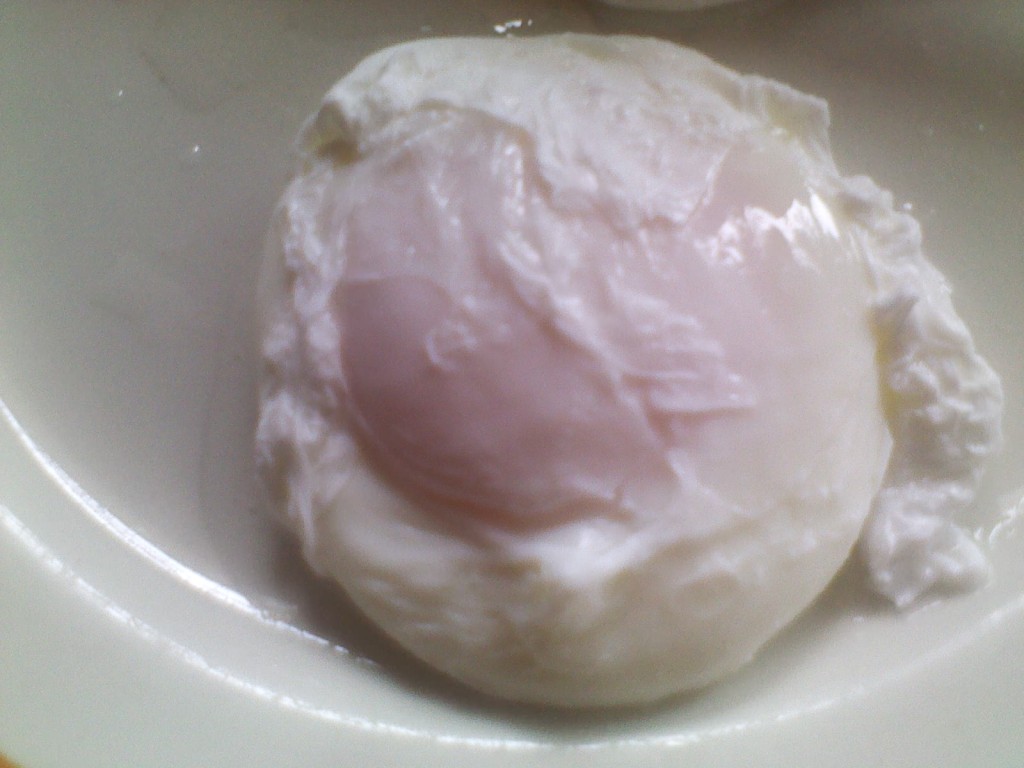 poached egg