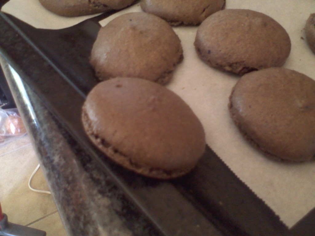 chocolate macaron shell